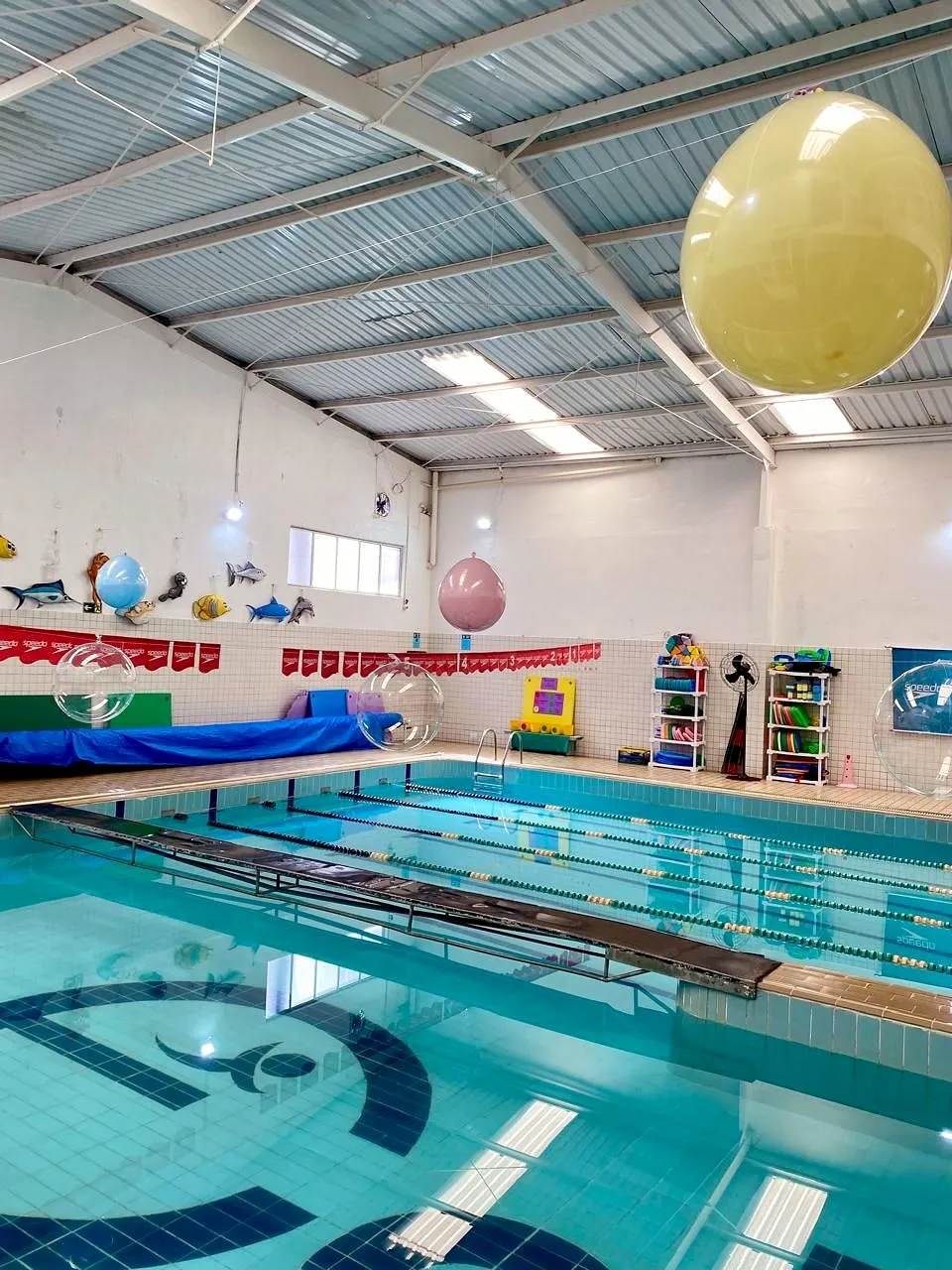 Salão da piscina com cobertura metálica, bolas transparentes penduradas, peixes decorativos na parede e estantes de materiais das aulas